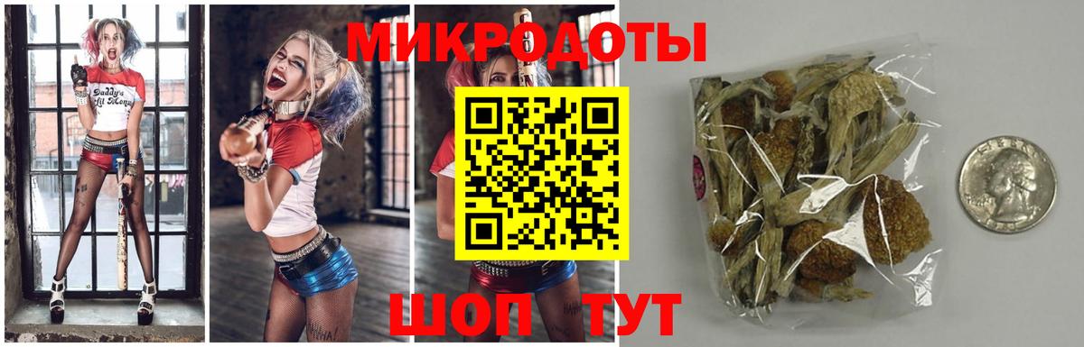 Гурьевск  Псилоцибиновые грибы прущие грибы  Вход с VPN 