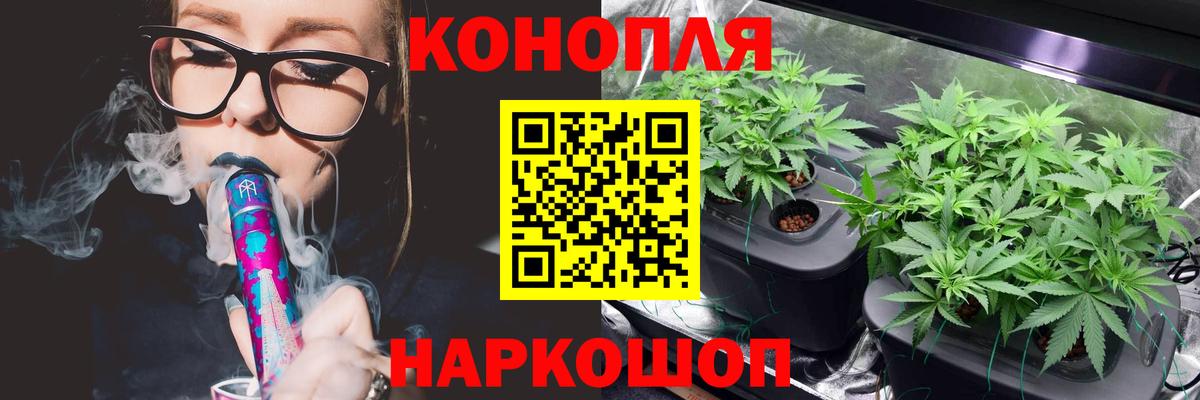 Конопля THC 21%  Шишки марихуана план  Гурьевск  Вход с VPN 